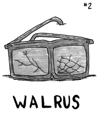 Walrus #2